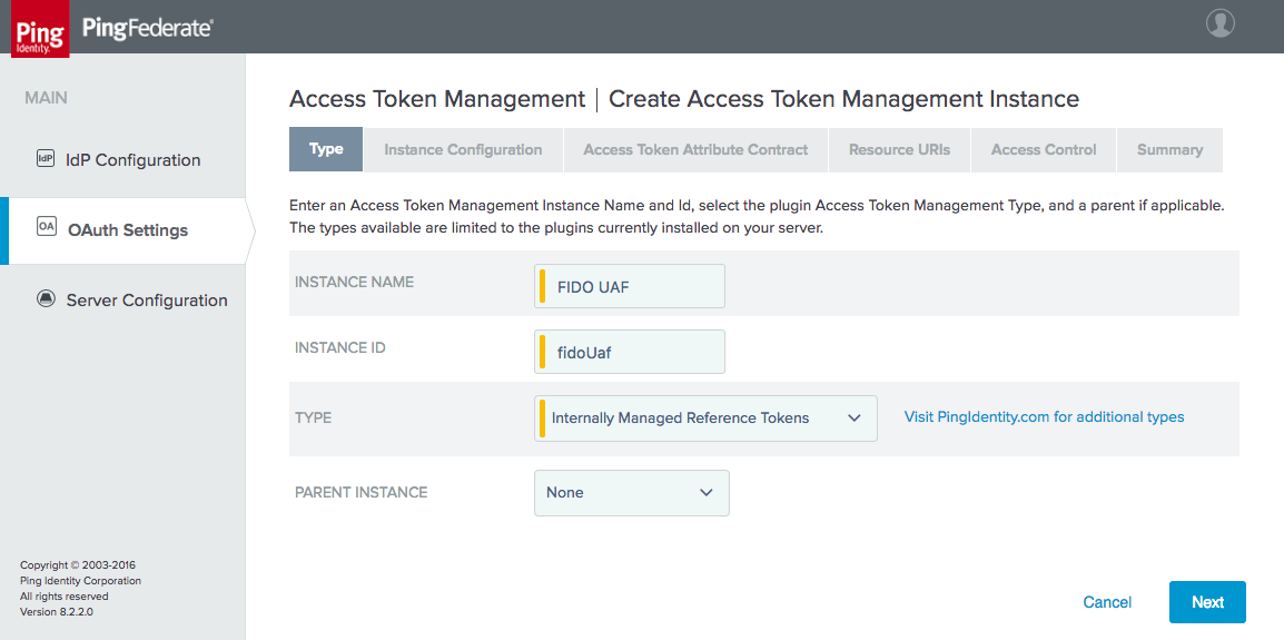 This figure depicts the Type tab for creating an access token management instance.