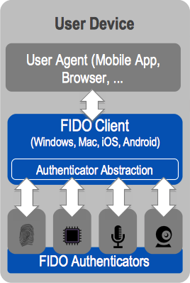 This figure depicts the layers of components needed for FIDO UAF.
