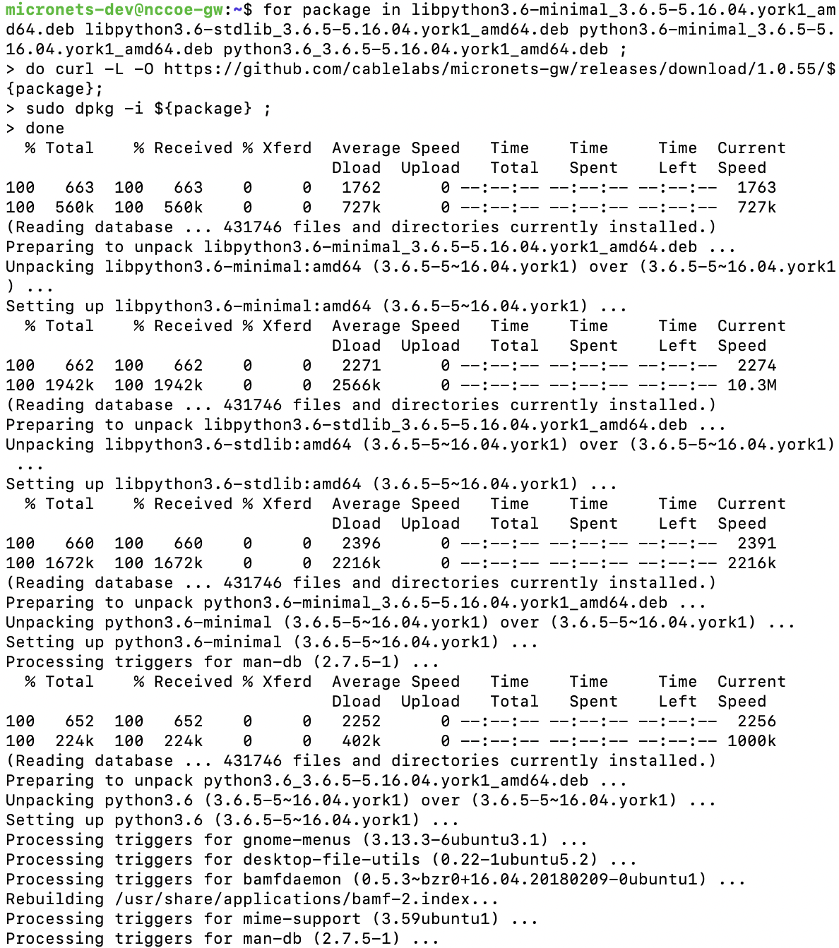 This image shows the expected output of the above command being run on the Micronets Gateway.