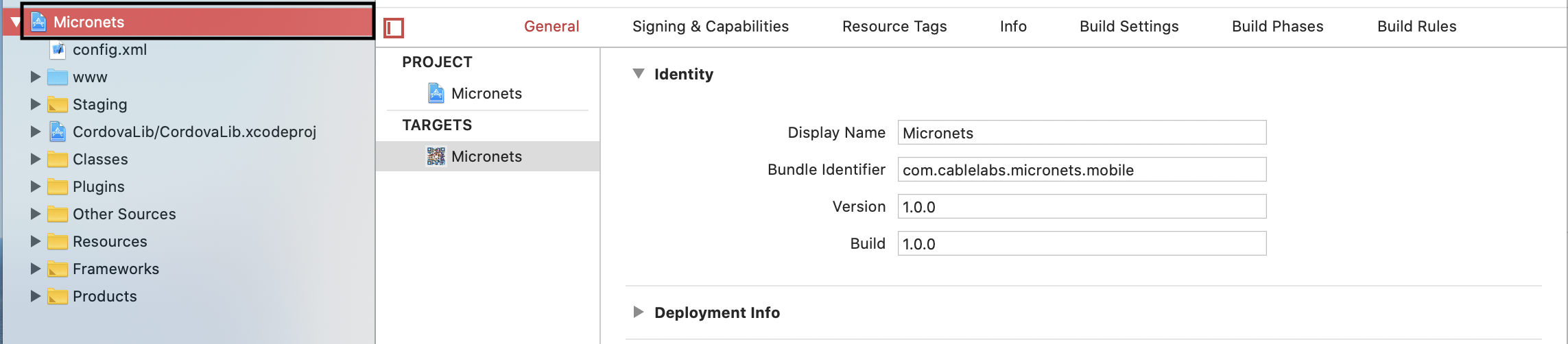 This image shows the Micronets icon in the navigator pane.