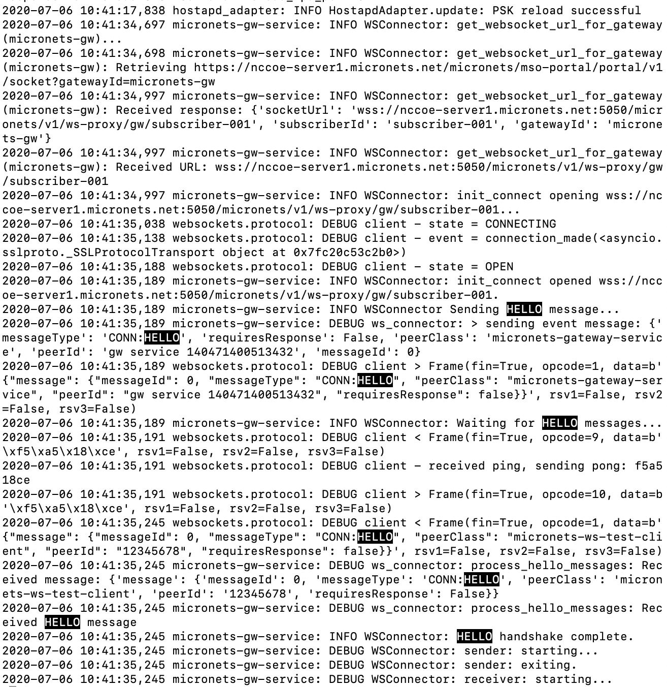 A screenshot of the logs for the micronet3s gateway showing the successful connection to the websocket proxy.