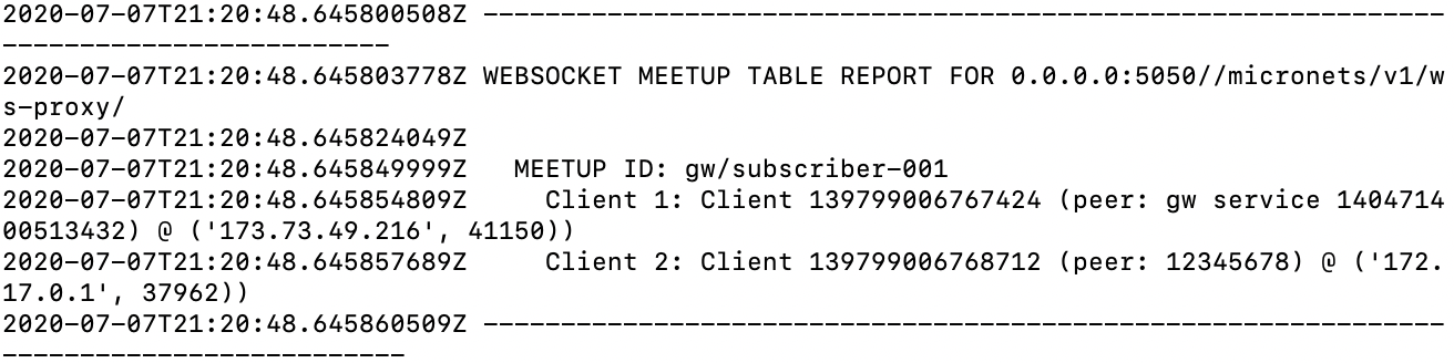 A screenshot of the docker-logs for the websocket proxy showing the meetup table and the successful connection of the client.