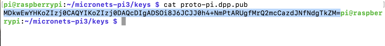 This image shows the expected output of the above command being used on the Raspberry Pi.