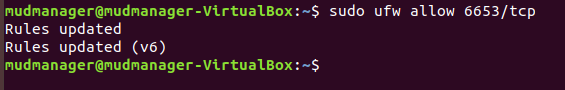 This image shows the command "sudo ufw allow 6653/tcp" being run on the MUD Manager.