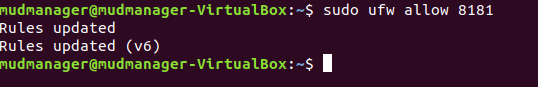 This image shows the command "sudo ufw allow 8181" being run on the MUD Manager.