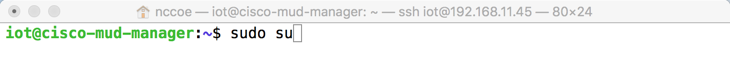 This image shows the command "sudo su" being run by iot@cisco-mud-manager.