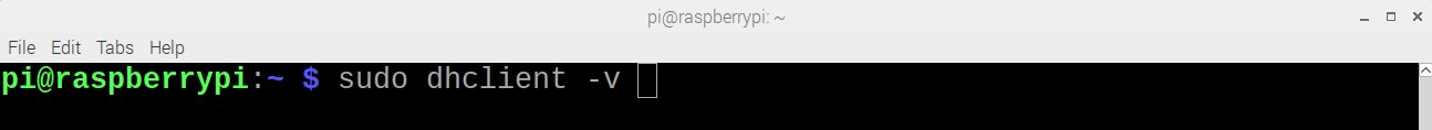 This image shows the command "sudo dhclient -v" being run on the Raspberry Pi Devkit.