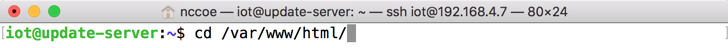 This image shows the command "cd /var/www/html" being run on the Update Server.