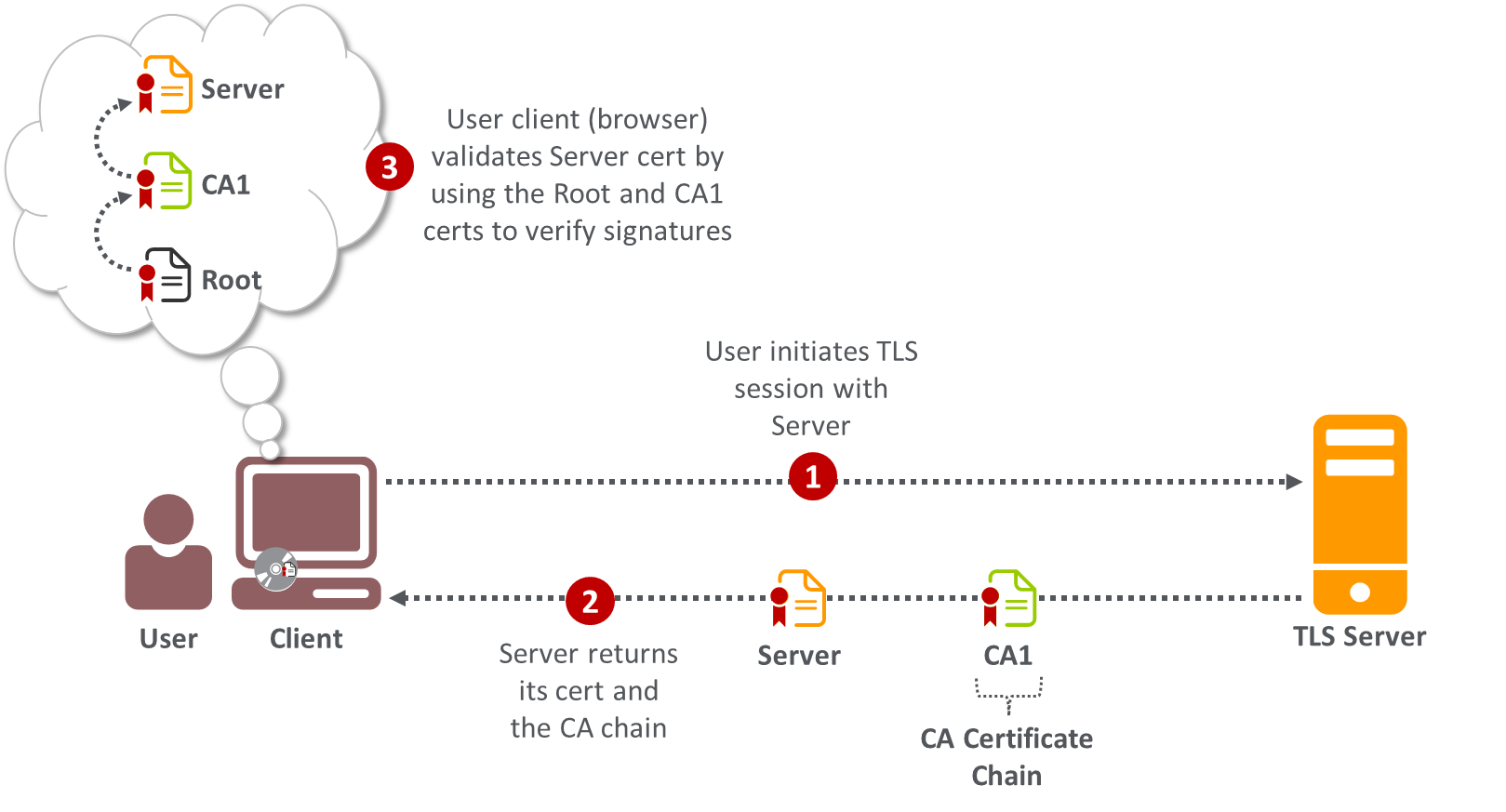Figure depicting a three-step process of (1) user's client initiating a TLS session with a server; (2) the server responding by returning its certificate and the CA chain; and (3) the client using the Root certificate and the CA chain to verify signatures, thereby validating the server certificate