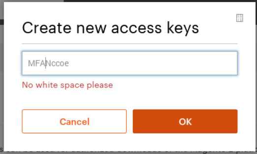 Demonstrates entering a name for a new access key.