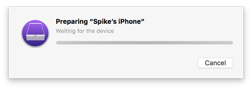 Preparing iPhone dialog Shows the progress in preparing the connected iOS device.