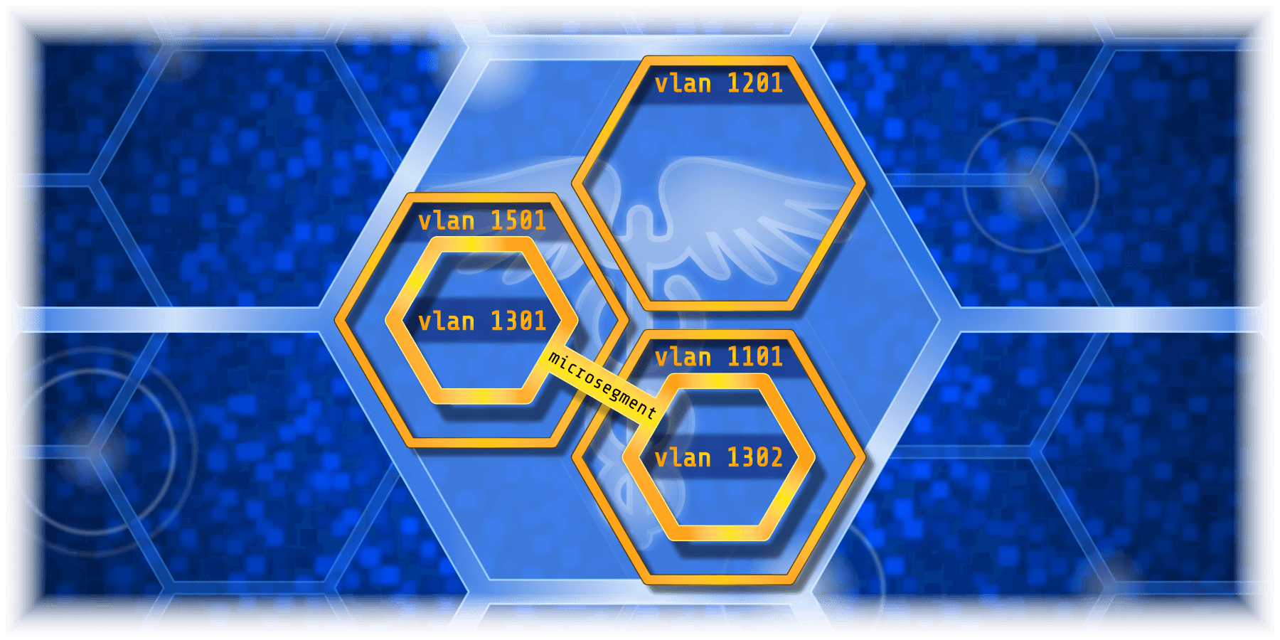 Diagram of an Organization of multiple virtual local area networks to implement segmentation