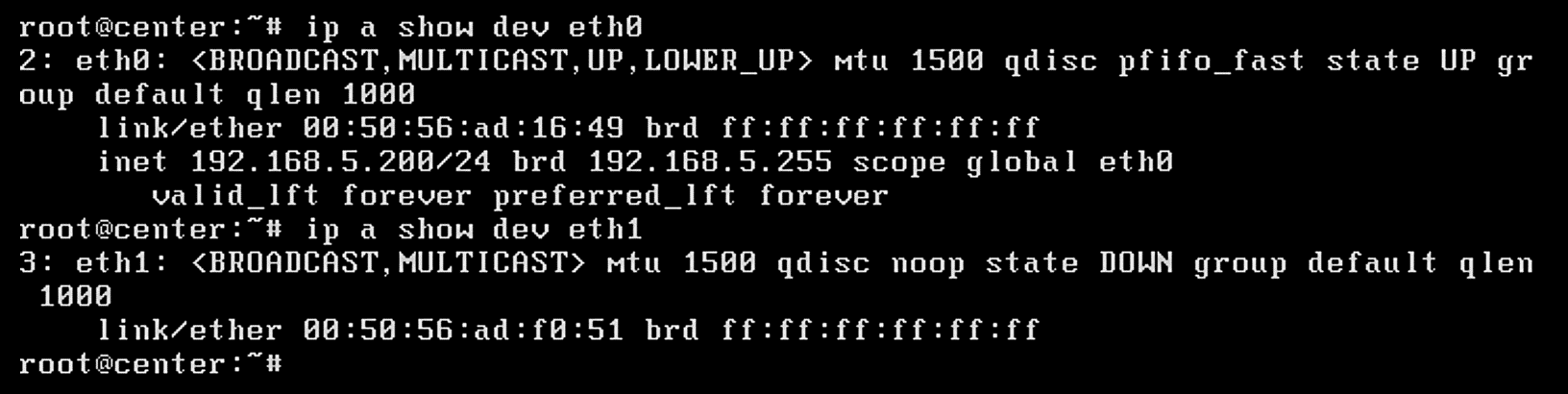 Network interface information for both eth0 and eth1.