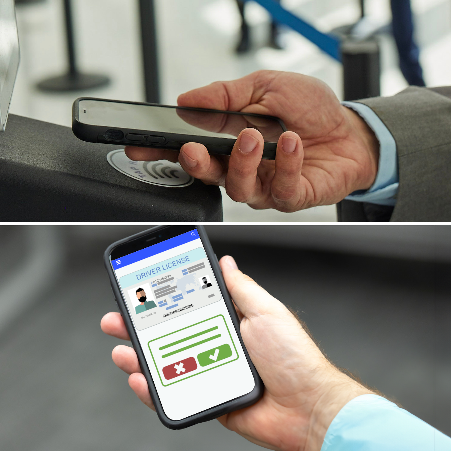 Photograph of a hand holding a mobile device displaying a digital driver's license.